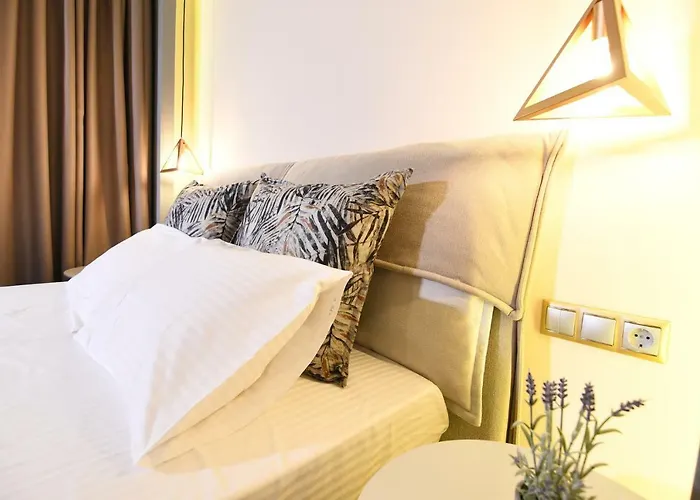 Summer Senses In 沃尔沃罗